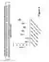 Fig. 07 - VACCINE FORMULATION