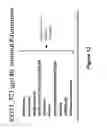 Fig. 13 - VACCINE FORMULATION
