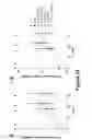 Fig. 29 - VACCINE FORMULATION