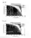 Fig. 07 - Nucleic acids encoding mosaic HIV-1 gag proteins