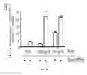 Fig. 07 - Viral Vaccine Vectors