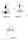 Fig. 03 - Methods for local drug delivery by microinjection array