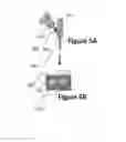 Fig. 08 - Methods for local drug delivery by microinjection array