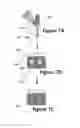 Fig. 12 - Methods for local drug delivery by microinjection array