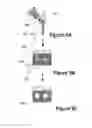 Fig. 16 - Methods for local drug delivery by microinjection array