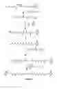 Fig. 04 - Conjugates comprising cell-binding agents and cytotoxic agents