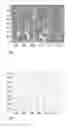 Fig. 03 - DIALYZER COMPRISING A BUNDLE OF HOLLOW FIBERS AND METHOD FOR PRODUCING SUCH HOLLOW FIBER