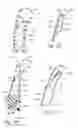 Fig. 47 - CUSHIONING STRUCTURE