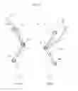 Fig. 22 - MUSCULAR EXERCISE EQUIPMENT