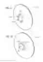 Fig. 07 - Adjustable dumbbell system