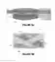 Fig. 10 - Core muscle training apparatus and method