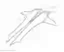 Fig. 01 - Composite dive fin assembly
