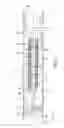Fig. 02 - WASH-FLOW FILTER ASSEMBLY