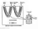 Fig. 01 - BIOMIMETIC MEMBRANES AND USES THEREOF