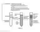 Fig. 08 - BIOMIMETIC MEMBRANES AND USES THEREOF