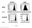 Fig. 16 - BIOMIMETIC MEMBRANES AND USES THEREOF