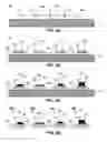 Fig. 09 - Device for recovery and isolation of biomolecules