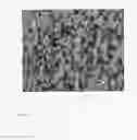 Fig. 02 - PROCESS FOR THE OXIDATION OF HYDROGEN CHLORIDE OVER A CATALYST HAVING A LOW SURFACE ROUGHNESS