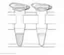 Fig. 01 - Extraction separation using magnetic beads