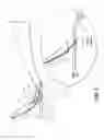 Fig. 06 - SHAVING RAZOR