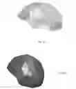 Fig. 03 - LONG FIBER THERMOPLASTIC HELMET INSERTS AND HELMETS AND METHODS OF MAKING EACH