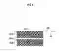 Fig. 09 - Liquid ejection device and dummy jet method