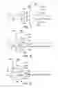 Fig. 07 - Vehicle body structure