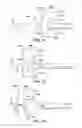 Fig. 08 - Vehicle body structure