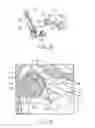 Fig. 16 - Seat belt retractor