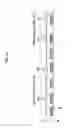 Fig. 05 - Operation management device, operation management method, vehicle, vehicular traffic system, and program