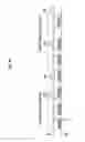 Fig. 06 - Operation management device, operation management method, vehicle, vehicular traffic system, and program