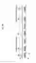 Fig. 07 - Operation management device, operation management method, vehicle, vehicular traffic system, and program