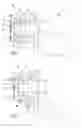 Fig. 04 - Clamping device for a longitudinally adjustable and/or height-adjustable steering column of a vehicle