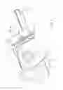 Fig. 04 - Motor vehicle body provided with a structure for receiving and draining water