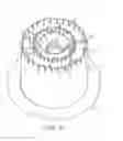 Fig. 22 - CARTRIDGE FOR THE PREPARATION OF BEVERAGES