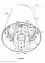 Fig. 05 - Conveyor drive roller with cooling means