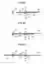 Fig. 06 - Separation conveyance device, image forming apparatus, method for controlling separation conveyance device, and computer-readable recording medium