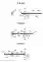 Fig. 08 - Separation conveyance device, image forming apparatus, method for controlling separation conveyance device, and computer-readable recording medium