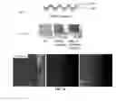 Fig. 03 - Method for manufacturing of three-dimensional freestanding porous thin-graphite with hierarchical porosity