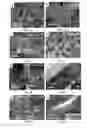 Fig. 04 - Method for manufacturing of three-dimensional freestanding porous thin-graphite with hierarchical porosity