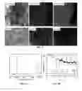 Fig. 05 - Method for manufacturing of three-dimensional freestanding porous thin-graphite with hierarchical porosity