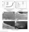 Fig. 07 - Method for manufacturing of three-dimensional freestanding porous thin-graphite with hierarchical porosity
