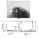 Fig. 08 - Method for manufacturing of three-dimensional freestanding porous thin-graphite with hierarchical porosity