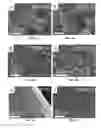 Fig. 09 - Method for manufacturing of three-dimensional freestanding porous thin-graphite with hierarchical porosity