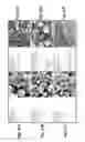 Fig. 43 - Zeolite compositions and methods for tailoring zeolite crystal habits with growth modifiers
