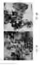 Fig. 04 - Manganese oxide compositions and their use as electrodes for aqueous phase energy storage devices