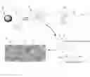 Fig. 01 - Light weight structural materials