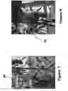 Fig. 06 - Plant food, nutrient and soil conditioner formulation