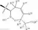 Fig. 49 - Beta-lactamase inhibitors
