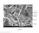Fig. 02 - Method of preparing chitin nanofibers